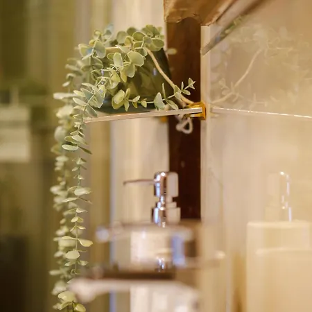 Aile - Hostatel Granada