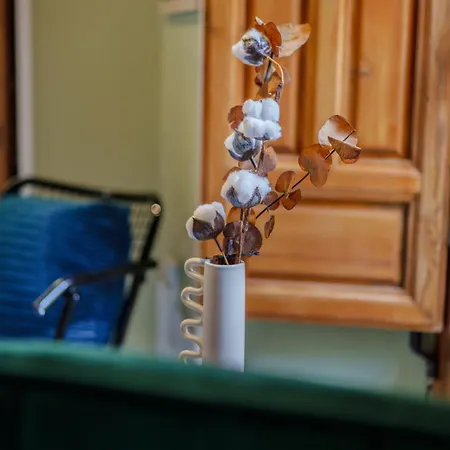 Aile - Hostatel Apartment *